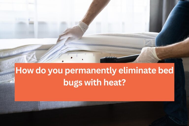 permanently eliminate bed bugs with heat