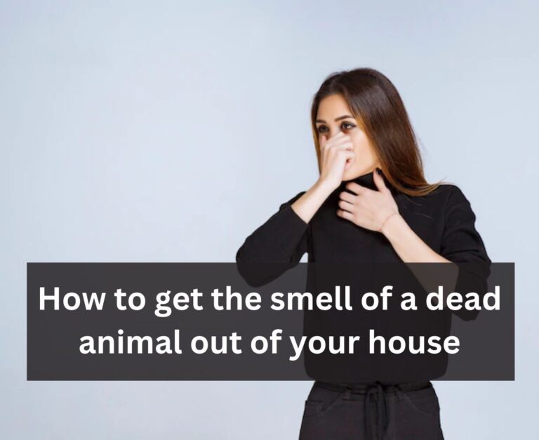 How To Get The Smell Of A Dead Animal Out Of Your House