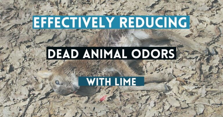 Effectively Reducing Dead Animal Odors with Lime