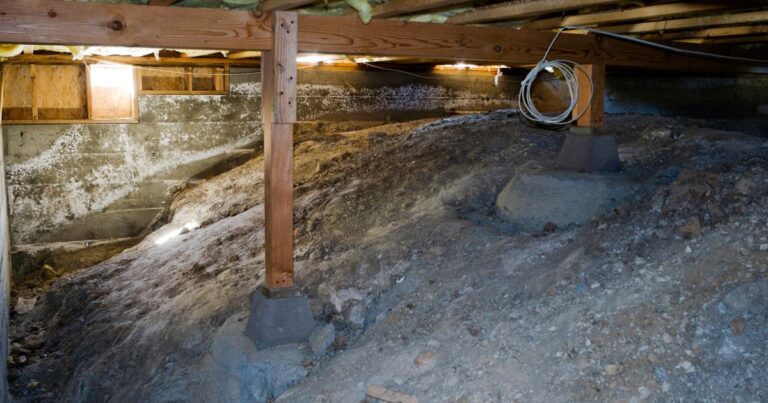 Crawl Space without a Vapor Barrier 2