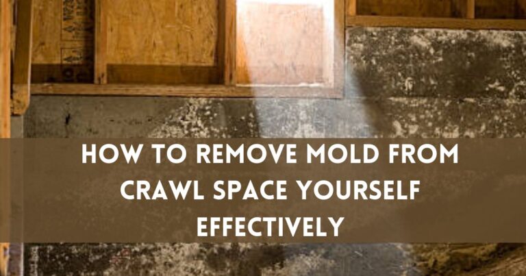 How To Remove Mold From Crawl Space Yourself Effectively